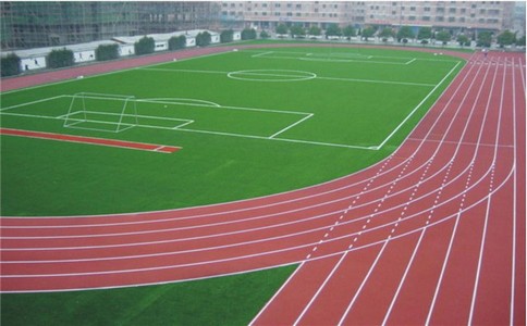 上海運動場人工草坪