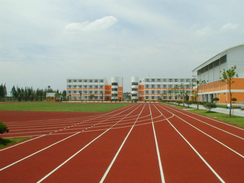 內丘縣塑膠跑道廠家